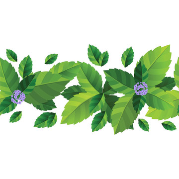 薄荷葉無(wú)縫圖案