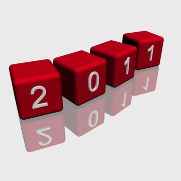 新的一年2011