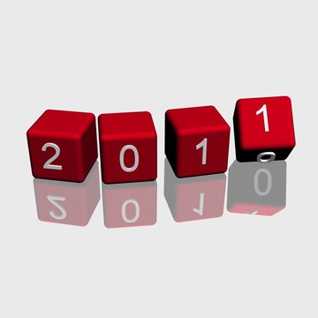 新的一年2011