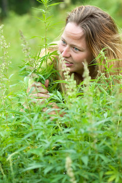 大麻廠的女人