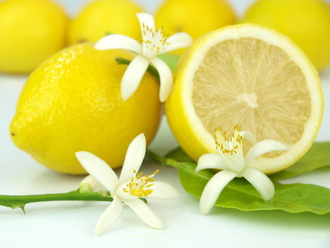檸檬花和檸檬水果