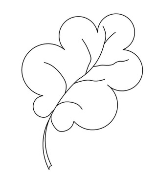 橡樹葉