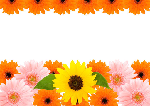 花框