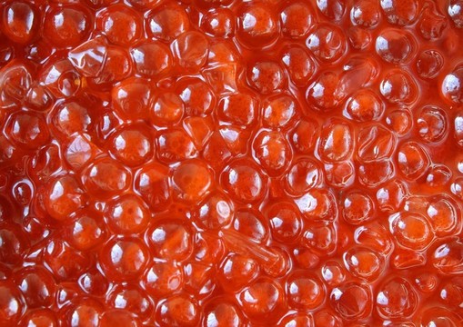 紅魚(yú)子醬