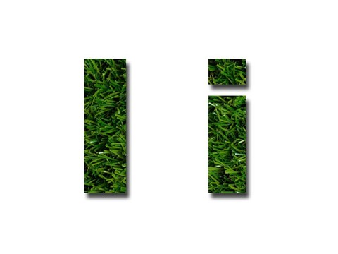 草的信