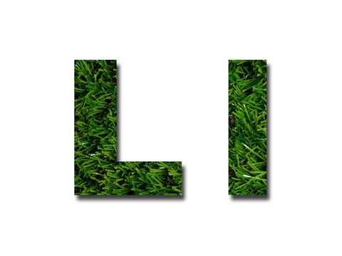 草的信