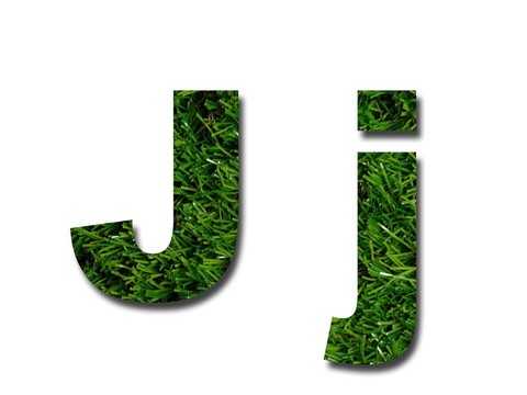 草的信
