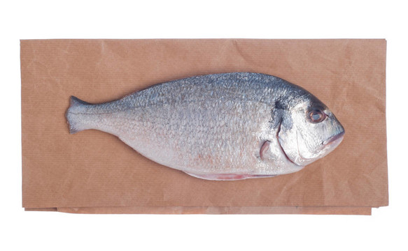 鲯鰍魚