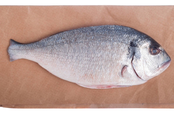 鲯鰍魚(yú)