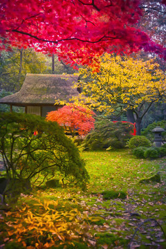 日本公園