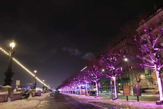 城市的夜晚