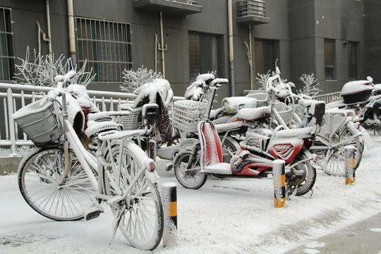 初雪