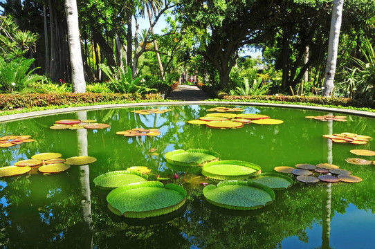 公園池塘