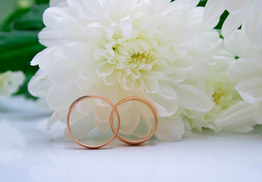 結(jié)婚戒指和白菊花