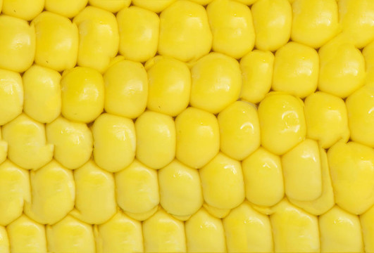 玉米。宏