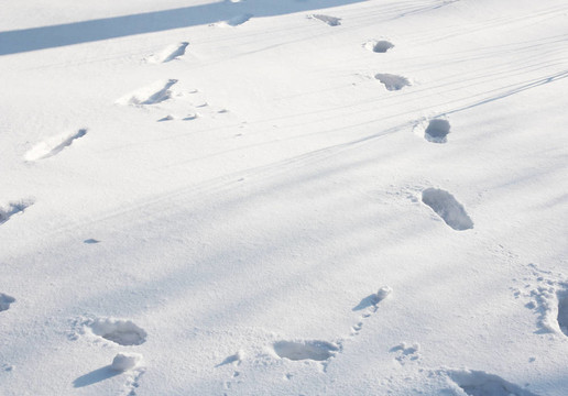 雪