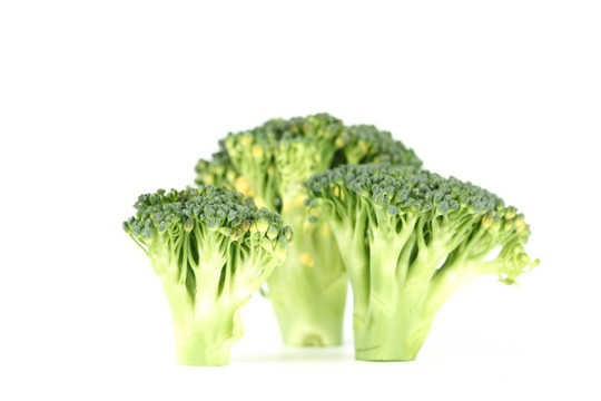 西蘭花白
