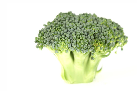 西蘭花白