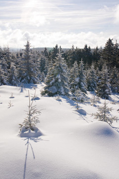 山上的雪