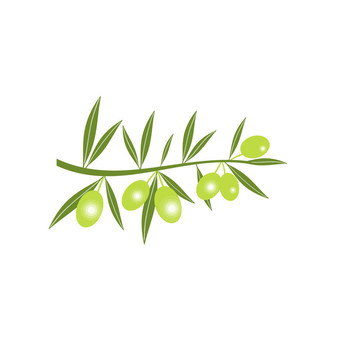 綠橄欖枝剪影