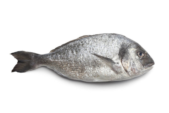 該魚全單
