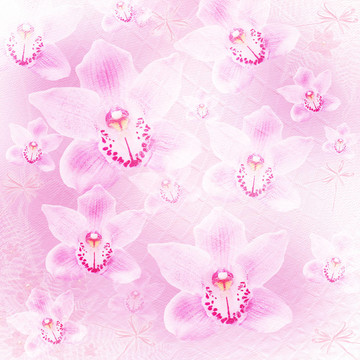 邀請或祝賀的蘭花和蝴蝶卡