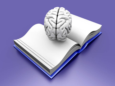 腦的書