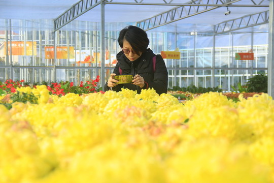 美女拍花賞花