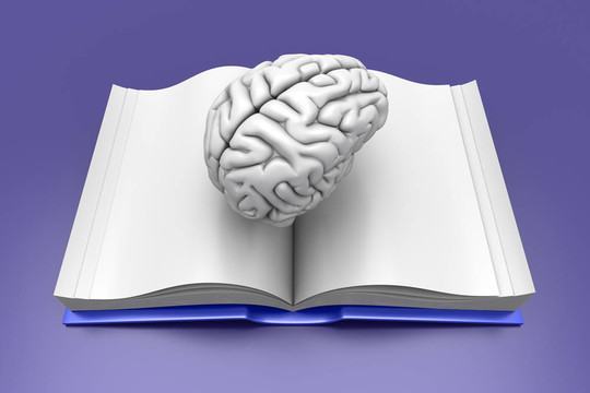 腦的書