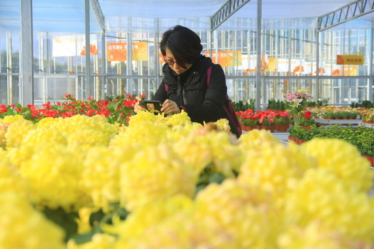 美女拍花賞花