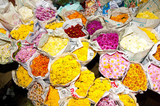 在flowermarket玫瑰；曼谷的清晨