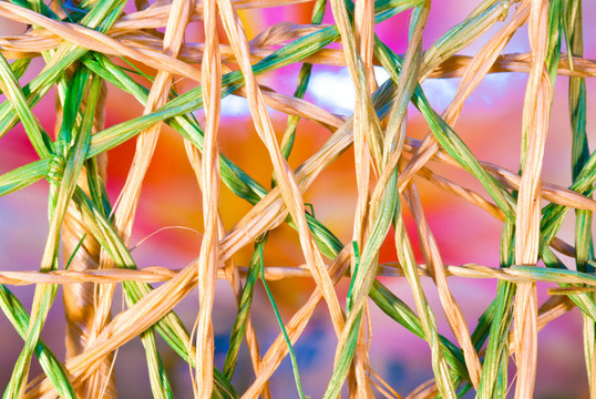 交織在一起的Weave Of Raffia