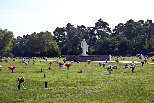 墓地墓地的美國(guó)墓地