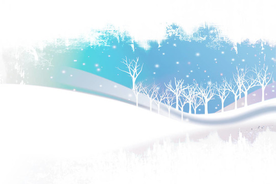 多雪的冬季景觀