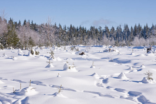 山上的雪