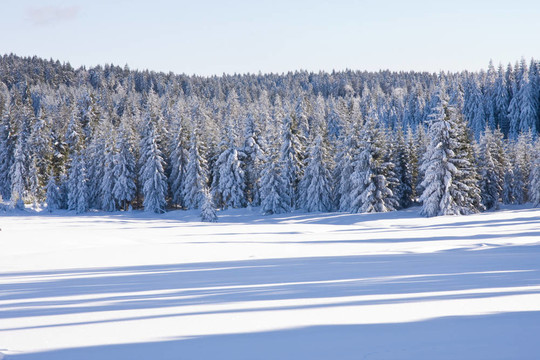 山上的雪