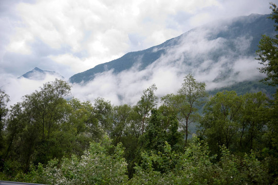山