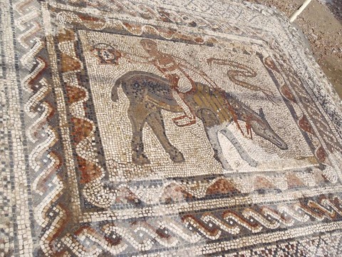 羅馬馬賽克地板；volubilus