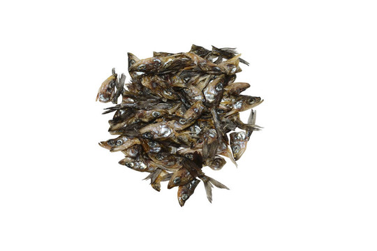 死魚