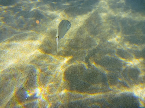 水下