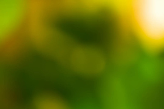 摘要研究背景