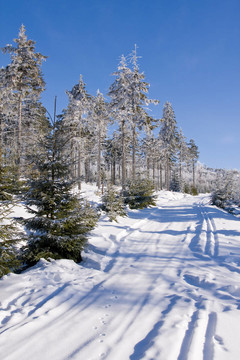 山上的雪