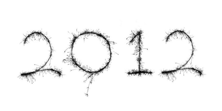新的一年2012