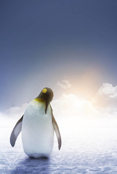 孤獨的皇帝Penguin日出