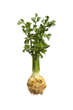 綠色芹菜