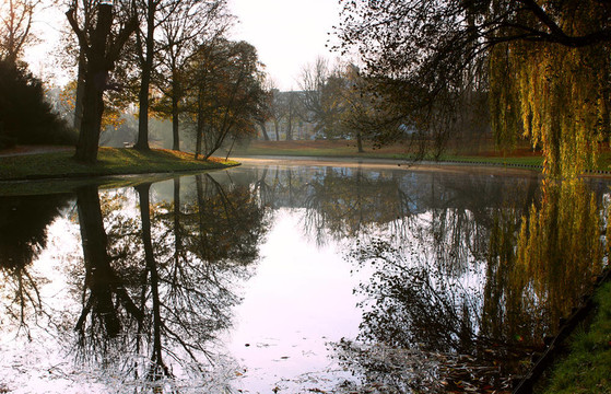 早晨，秋天的公園