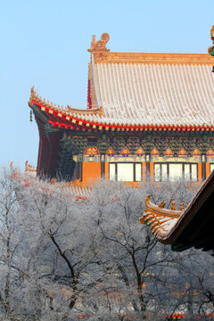 寺廟 建筑 雪 霧凇冬天 雪景