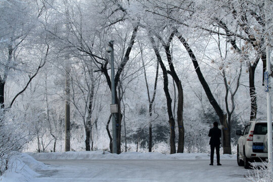 霧凇 冬天 雪景