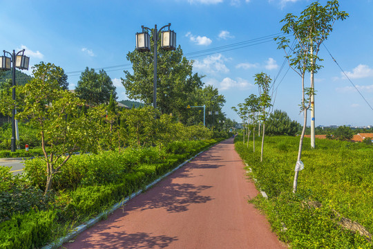 自行車專用路