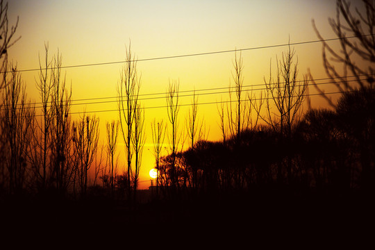 夕陽風(fēng)光